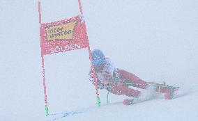 SPORT INVERNALI - Sci Alpino - 2026 Audi FIS Ski World Cup - Men's Giants Slalom