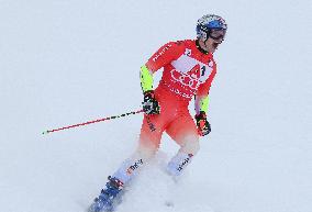 SPORT INVERNALI - Sci Alpino - 2026 Audi FIS Ski World Cup - Men's Giants Slalom