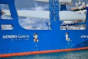 Illustrations Le Havre view from the coast