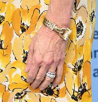 Rape Treatment Center and Stuart House Annual Brunch