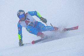 SPORT INVERNALI - Sci Alpino - Audi FIS Ski World Cup - Men's Giants Slalom