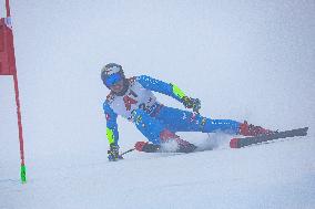 SPORT INVERNALI - Sci Alpino - Audi FIS Ski World Cup - Men's Giants Slalom