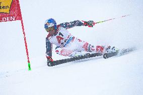 SPORT INVERNALI - Sci Alpino - Audi FIS Ski World Cup - Men's Giants Slalom