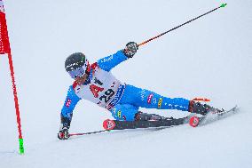 SPORT INVERNALI - Sci Alpino - Audi FIS Ski World Cup - Men's Giants Slalom