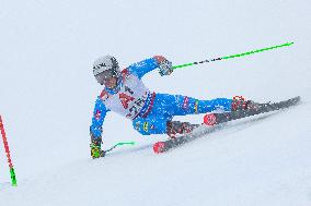 SPORT INVERNALI - Sci Alpino - Audi FIS Ski World Cup - Men's Giants Slalom