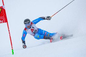 SPORT INVERNALI - Sci Alpino - Audi FIS Ski World Cup - Men's Giants Slalom