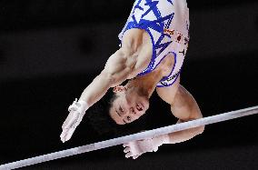 Artistic Gymnastics: World championships