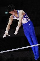 Artistic Gymnastics: World championships