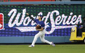 Baseball: World Series
