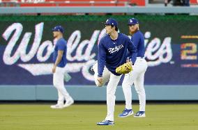 Baseball: World Series