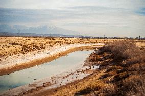 Drying Wetland Fuels Dust Storm Crisis - Iran