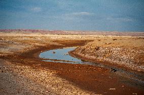 Drying Wetland Fuels Dust Storm Crisis - Iran