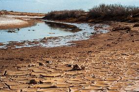 Drying Wetland Fuels Dust Storm Crisis - Iran