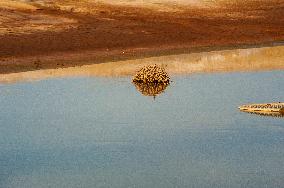 Drying Wetland Fuels Dust Storm Crisis - Iran