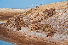 Drying Wetland Fuels Dust Storm Crisis - Iran