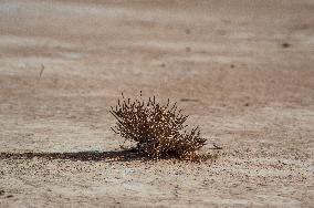 Drying Wetland Fuels Dust Storm Crisis - Iran