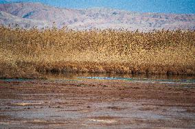 Drying Wetland Fuels Dust Storm Crisis - Iran
