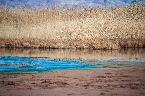 Drying Wetland Fuels Dust Storm Crisis - Iran