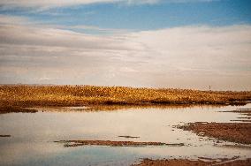 Drying Wetland Fuels Dust Storm Crisis - Iran