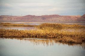 Drying Wetland Fuels Dust Storm Crisis - Iran