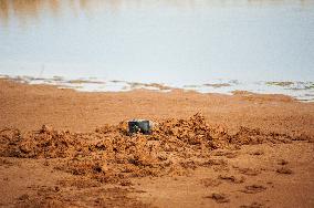 Drying Wetland Fuels Dust Storm Crisis - Iran