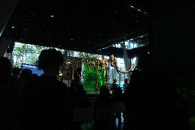 Fossilized Woolly Mammoth Skeleton Presented at Museum - Barcelona