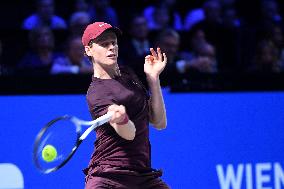 Sinner Wins the Vienna Open - Austria