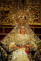 Besamanos of Esperanza de Triana Held - Seville