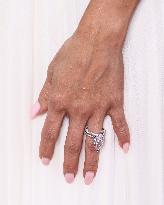 AFI Fest Song Sung Blue Premiere - Hollywood