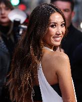 AFI Fest Song Sung Blue Premiere - Hollywood