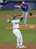 Baseball: World Series