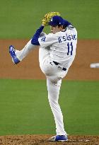 Baseball: World Series