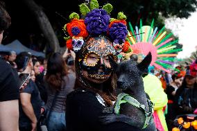Mega Procession of the Catrinas for Day of the Dead - Mexico City