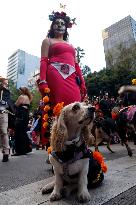 Mega Procession of the Catrinas for Day of the Dead - Mexico City