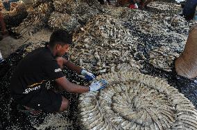 Traditional Salted Hilsa Processing In Chattogram - Bangladesh