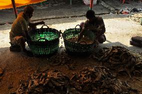 Traditional Salted Hilsa Processing In Chattogram - Bangladesh