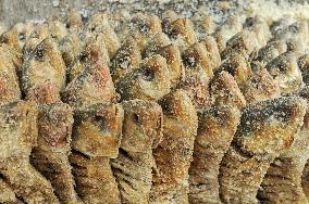 Traditional Salted Hilsa Processing In Chattogram - Bangladesh