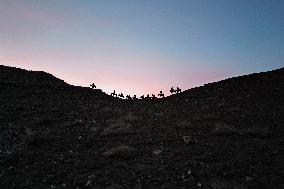 Kazakh Eagle Hunters Preserve Ancient Tradition - Mongolia