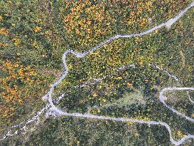 Autumn Scenery Captured In Nyingchi - China