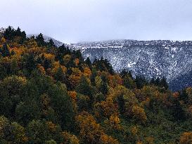 Autumn Scenery Captured In Nyingchi - China