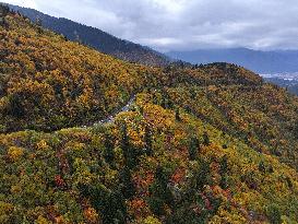 Autumn Scenery Captured In Nyingchi - China