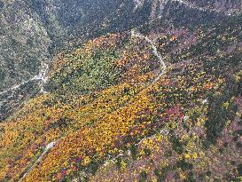 Autumn Scenery Captured In Nyingchi - China