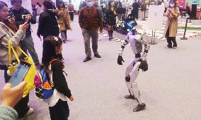 Robot Dancing at GLOBAL AI PLAYER CARNIVAL in Shanghai