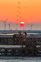 Large-scale Coal-fired Power Projects Construction