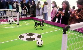 Hengbot Robot Dog Sirius