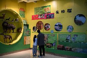 Exposition Park Opens at Northwest A&F University - Shaanxi