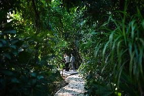 Exposition Park Opens at Northwest A&F University - Shaanxi