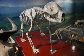 Exposition Park Opens at Northwest A&F University - Shaanxi