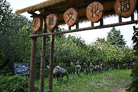 Exposition Park Opens at Northwest A&F University - Shaanxi