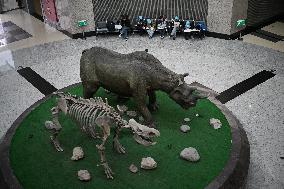 Exposition Park Opens at Northwest A&F University - Shaanxi